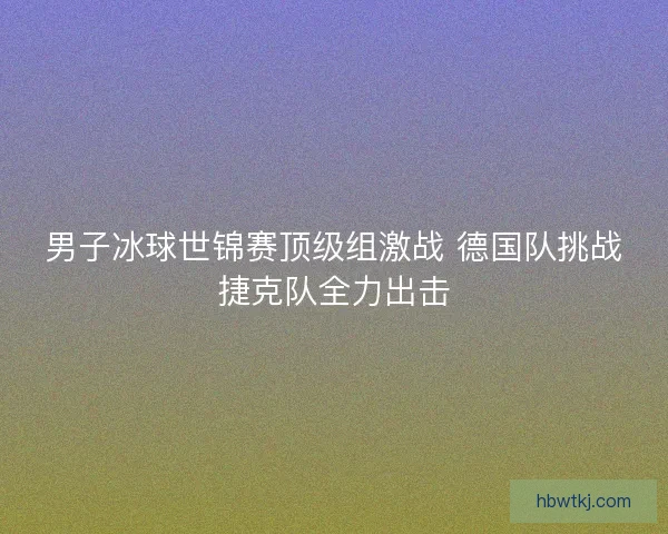 男子冰球世锦赛顶级组激战 德国队挑战捷克队全力出击